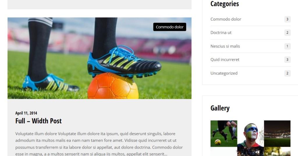 custom widgets in sporty Best wordpress themes for sports clubs
