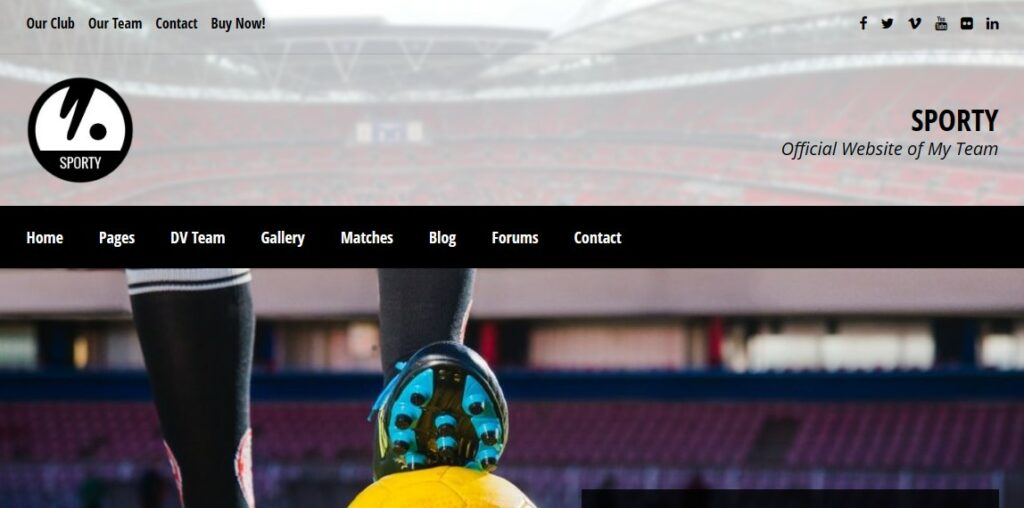 sporty homepage Best wordpress themes for sports clubs
