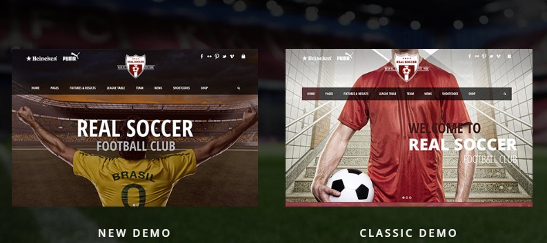 demo theme in real soccer Best wordpress themes for sports clubs