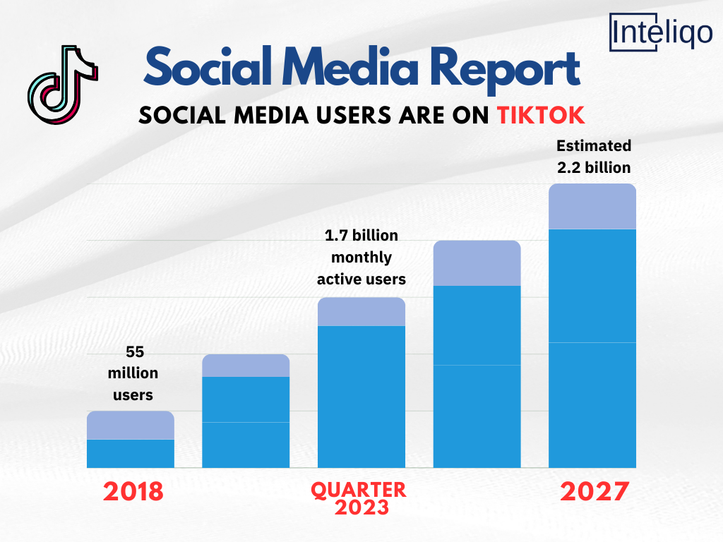 social media users on tiktok infographics